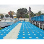 Daiichi Plastic Co., Ltd.
