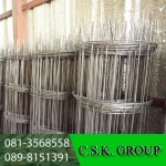 C S K Group 