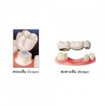 โรงพยาบาลทันตกรรม เอเซีย ฟอร์จูน