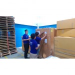 Weiming Logistics & Shipping Co Ltd