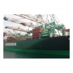 Weiming Logistics & Shipping Co Ltd
