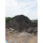 Land for sale in Pathum Thani - Thasai Kuntawesak