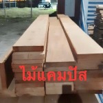รับซื้อขายไม้แปรรูปราคาส่ง เขานิพันธ์ค้าไม้ สุราษฎร์ธานี