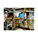 Siam Applicators
