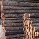 Sanamchai Bore Pile Co Ltd