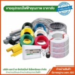 SBA Equipment Electrical Co Ltd 