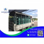 Champ Gas Co., Ltd.