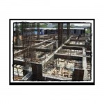 Thung Thong Development Co Ltd