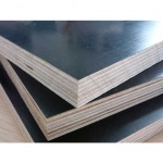 Saisongwood