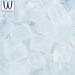 Win Plastics Machine Co., Ltd.