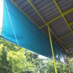 Sombat Canvas