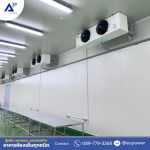 ให้เช่าและขายตู้คอนเทนเนอร์ห้องเย็น นนทบุรี 