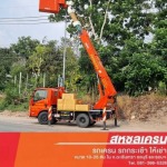 Sahachon Crane