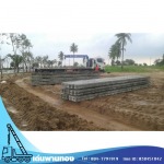 Den Phanthong Co., Ltd.