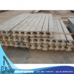 Den Phanthong Co., Ltd.