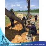 Den Phanthong Co., Ltd.