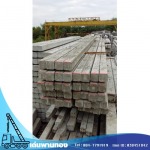 Den Phanthong Co., Ltd.