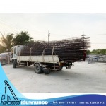 Den Phanthong Co., Ltd.
