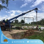 Den Phanthong Co., Ltd.