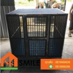 Smile Stainless