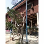 รับเหมาเลื่อนบ้าน - ช่างนาย รับเหมาดีดบ้าน