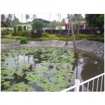 Home Leasing