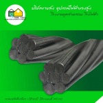 ลวดเหล็กตีเกลียว (Steel Strand Wire) - อุปกรณ์ไฟฟ้า แรงสูง สโตร์ไฟฟ้า 