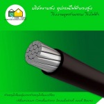 สายอลูมิเนียมหุ้มและสายอลูมิเนียมเปลือย (Aluminum Conductors Insulated and Bare) - อุปกรณ์ไฟฟ้า แรงสูง สโตร์ไฟฟ้า 