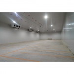 เค ที พี พร็อพเพอร์ตี้