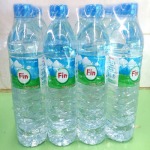 Fin Water