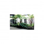 Advance Building Solution Co Ltd
