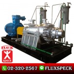 Lined Pump for chemical with mechanical seal or magnetic dri - Flux-Speck Pump Co.,Ltd.