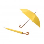 City Umbrella Co Ltd