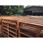  PALLET CHONBURI KPP PALLETt