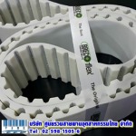 Thai Industrial Belts Center Co.,Ltd.