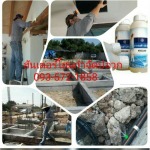 กำจัดปลวกโคราช ชัยภูมิ ฮันเตอร์โฮม