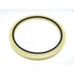 ซีลบัฟเฟอร์ Buffer Seal - บริษัท อินเตอร์ซีล (ประเทศไทย) จำกัด