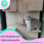 Maruko House