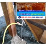 Termite control Ubon-Sisaket-Amnat Charoen-Yasothon