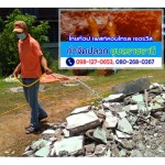 ฉีดพ่นน้ำยาป้องกันปลวกยโสธร - กำจัดปลวก มด แมลง อุบลราชธานี