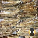 Dried Squid Home Co., Ltd.