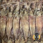 Dried Squid Home Co., Ltd.