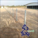 Boonwanich International Co., Ltd.