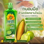 Greenwash Thailand 