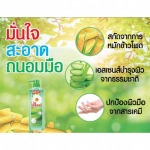 Greenwash Thailand 