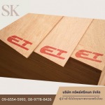 Importer and distributor of plywood sheets