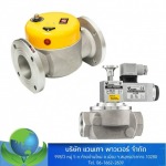 Swing valves MAG-3 - Vantage Power Co., Ltd.