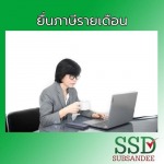 บริการยื่นภาษีรายเดือน นนทบุรี - สำนักงานบัญชี นนทบุรี - ทรัพย์แสนดี