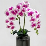 ดอกไม้ปลอมแต่งบ้าน - แหล่งขายปลีก-ส่งดอกไม้ปลอม sisterflower