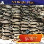 นำเข้าอาหารทะเลแช่แข็ง ป.ปนัฐดา